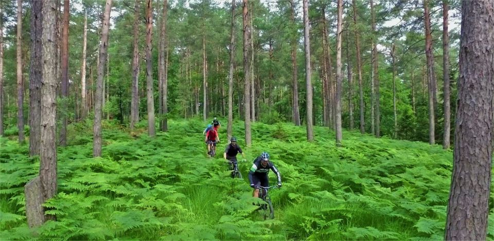 Ljubljana: City Center and Golovec Trails Mountain Bike Tour - Experience Highlights