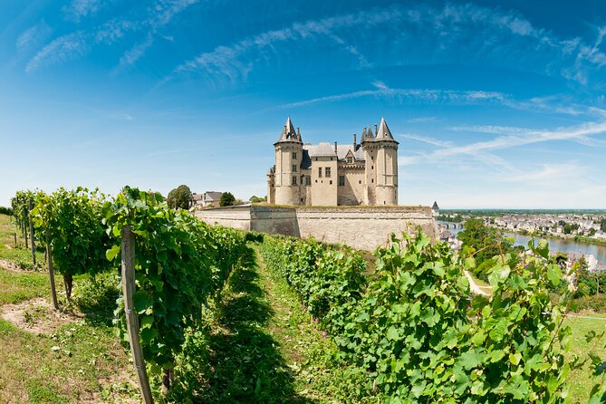 Loire Valley Wine Region: Private Full Day Tour From Tours - Gourmet Lunch Inclusions