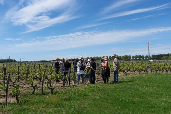 Loire Valley Wines Private Day Tour With Tastings From Tours or Amboise - Pricing and Booking Details