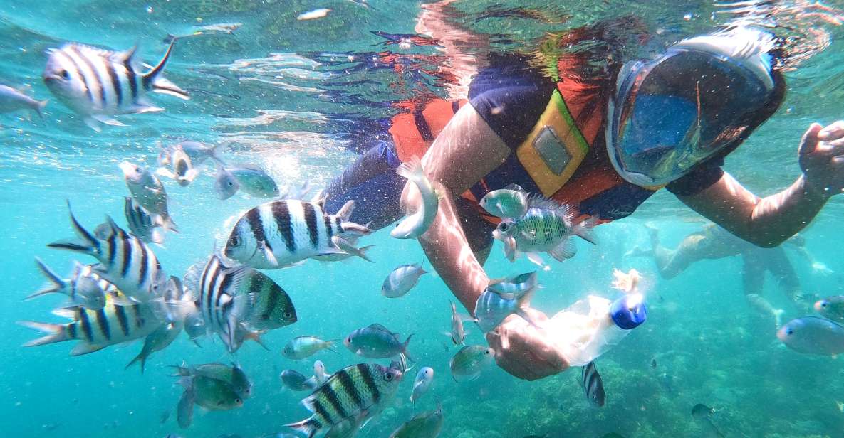 Lombok: Gili Islands Private Snorkeling Boat Trip - Experience Highlights