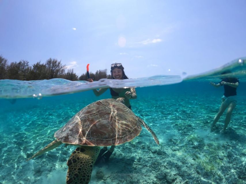 Lombok : Trawangan, Meno & Air Islands Full Day Snorkeling - Booking Information