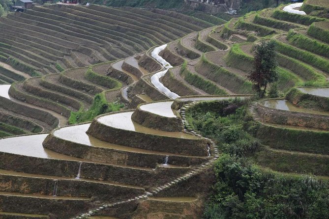 Longji Rice Terraces With the Dazhai Cable Car Private Day Tour - Experience Inclusions