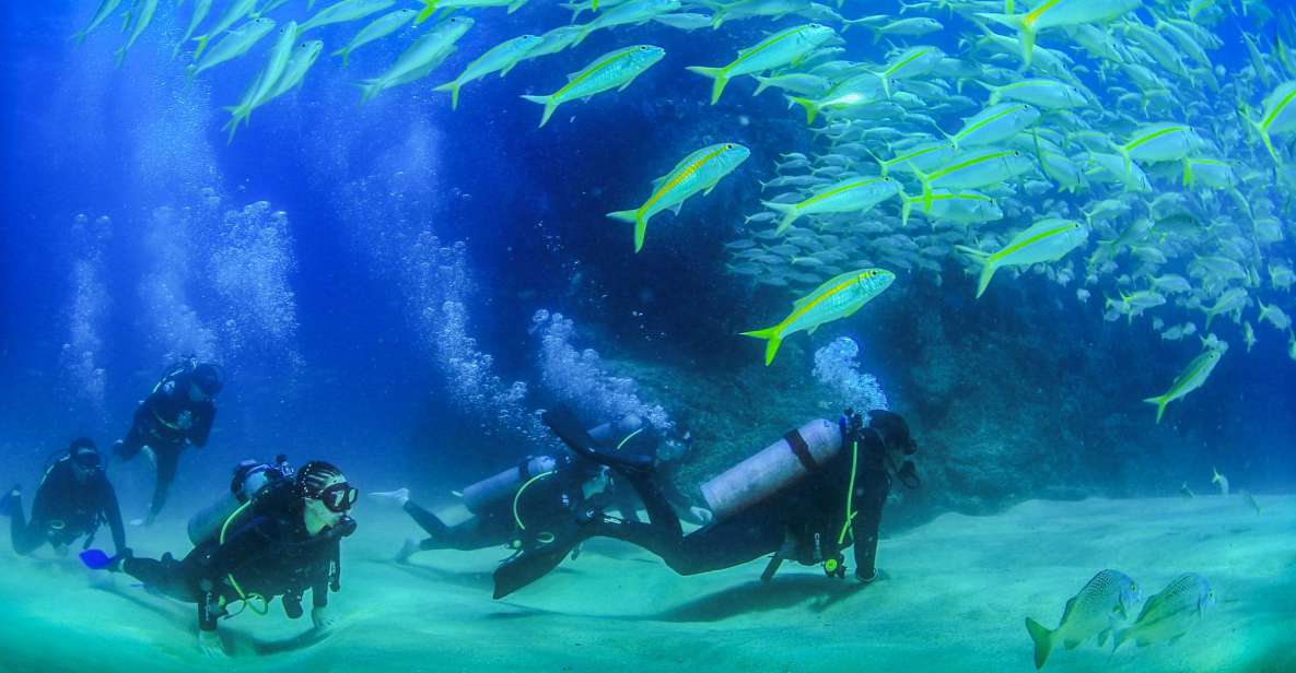 Los Cabos: 3-Hour Introductory Scuba Diving Adventure - Scuba Diving Experience Details