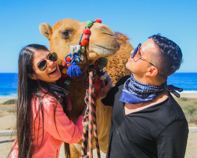 Los Cabos: Camel Safari Adventure - Experience Highlights