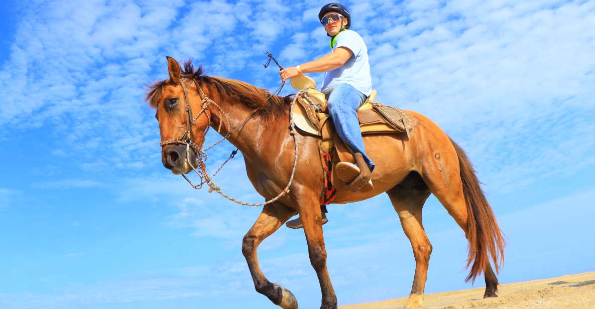 Los Cabos: Horseback Ride on Pacific Beach and Desert - Experience Highlights