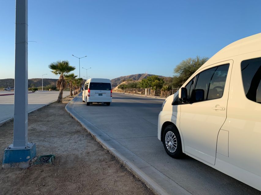 Los Cabos: Roundtrip Airport Transfer - Experience and Service Details