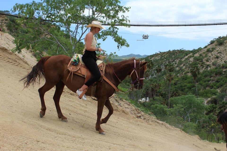 Los Cabos: The Great Fandango Horseback Riding Adventure - Important Information