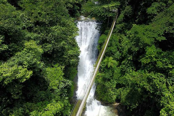 Los Campesinos Reserve, Waterfalls and Wildlife: Small-Group  - Quepos - Itinerary Details