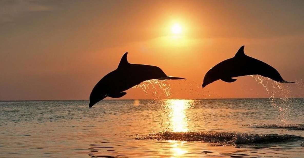 Lovina Sunrise and Dolphin With Swim and Snorkeling - Booking Information