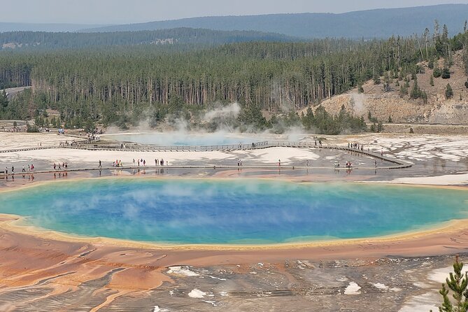 Lower Loop of Yellowstone Guided Tour - Inclusions and Amenities