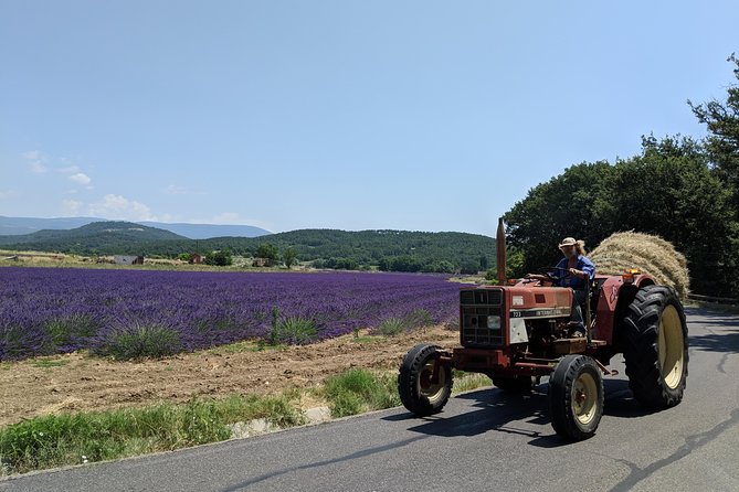 Luberon Region Half-Day Tour With Full-Day Option  - Avignon - Common questions