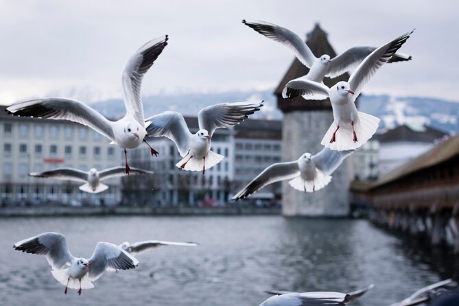 Lucerne Scavenger Hunt and Best Landmarks Self-Guided Tour - Landmarks to Discover