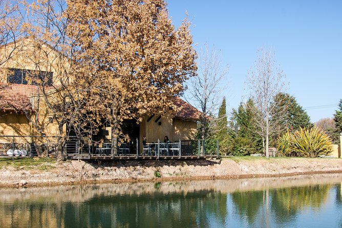 Luján De Cuyo Wine-Tasting Tour From Mendoza - Visitor Experience and Atmosphere