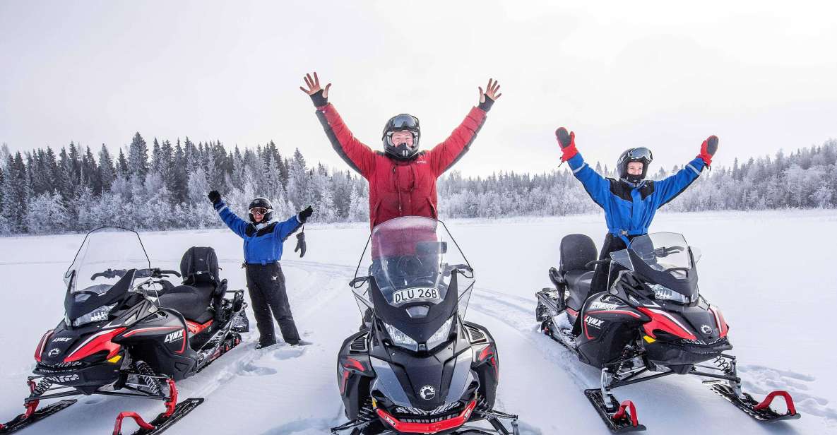 Luleå : Snowmobile - Forest and Ice Nature Tour 2h - Experience Highlights