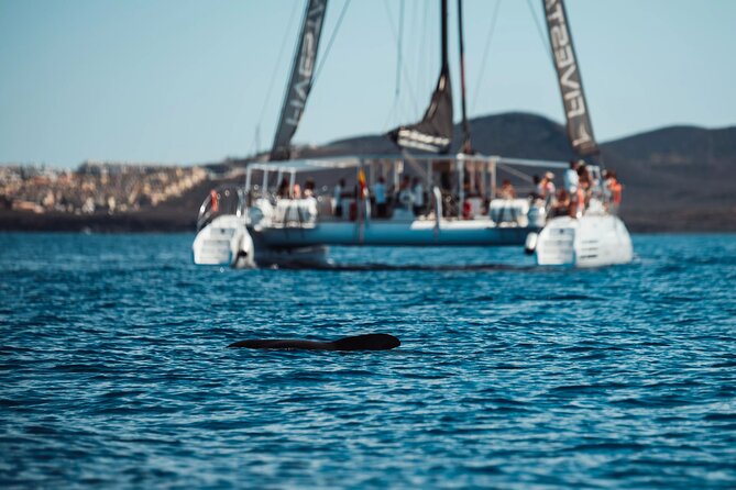 Luxury Catamaran Excursion From Las Galletas - Tenerife - Customizable Options Available