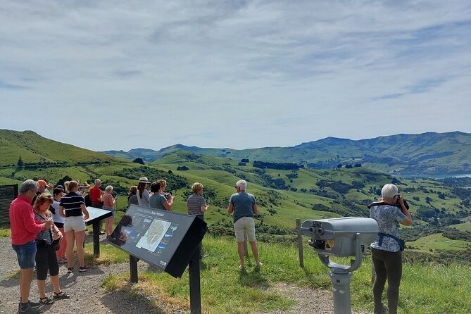 Lyttelton Shore Excursion: Twin Harbour Tour (Lyttelton & Akaroa) - Cruise Experience