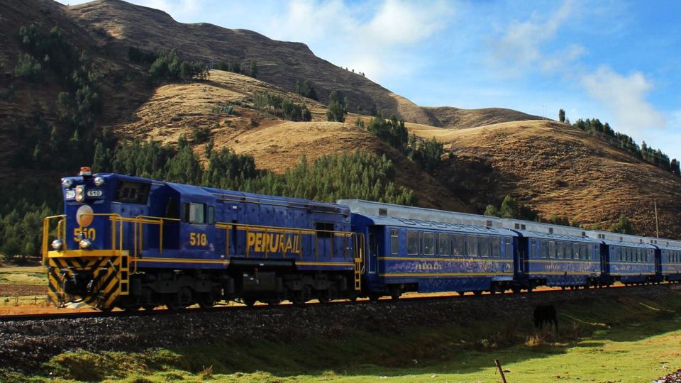 Machu Picchu: 1-Day Tour by Expedition or Voyager Train - Inclusions