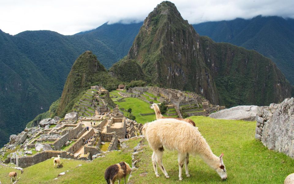 Machu Picchu: 1-Day Tour by Vistadome Observatory Train - Inclusions