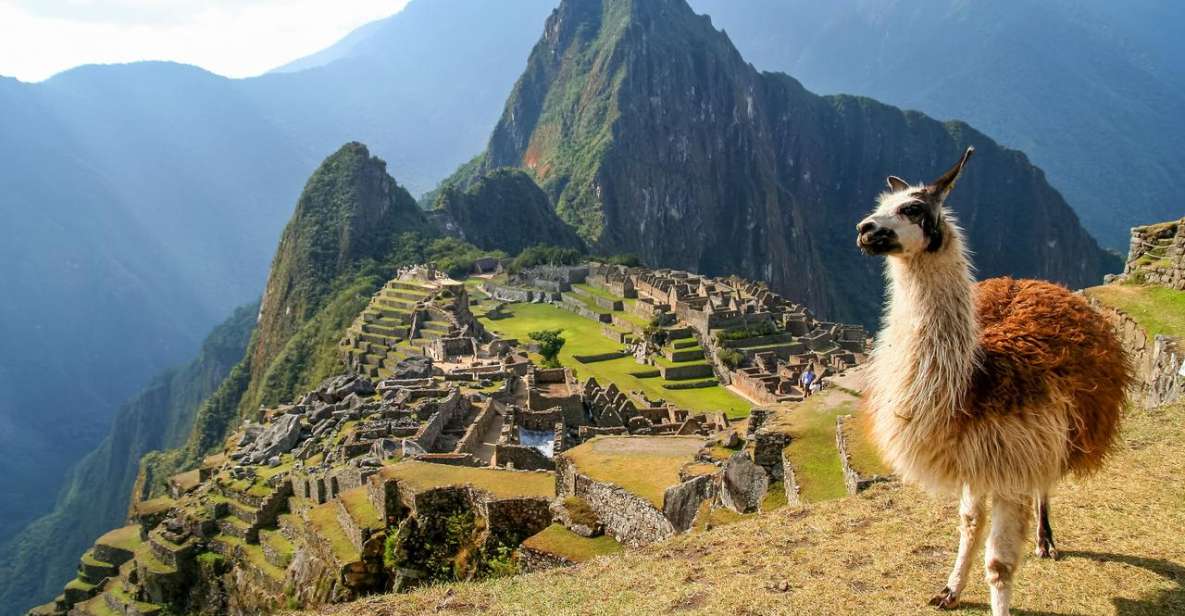 Machu Picchu Adventure: Tickets to the Wonder of the World. - Experience Highlights