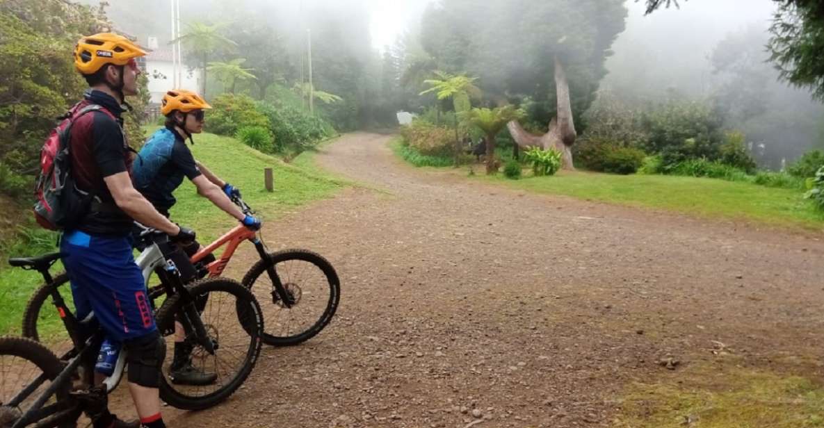Madeira Cross Country Tour Mountain Bike Experience - Group Size and Pickup
