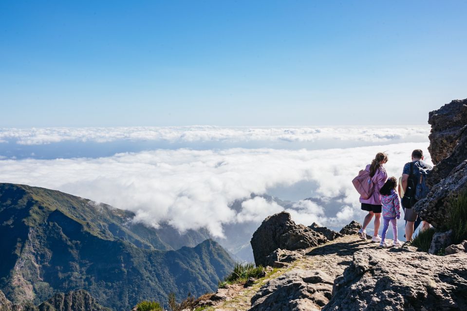 Madeira: Half-Day Pico Arieiro Jeep Tour - Customer Reviews and Ratings