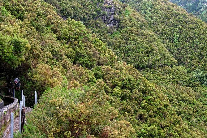 Madeira Levada Walk - Rabacal Lakes and Fountains - Tour Experience Highlights