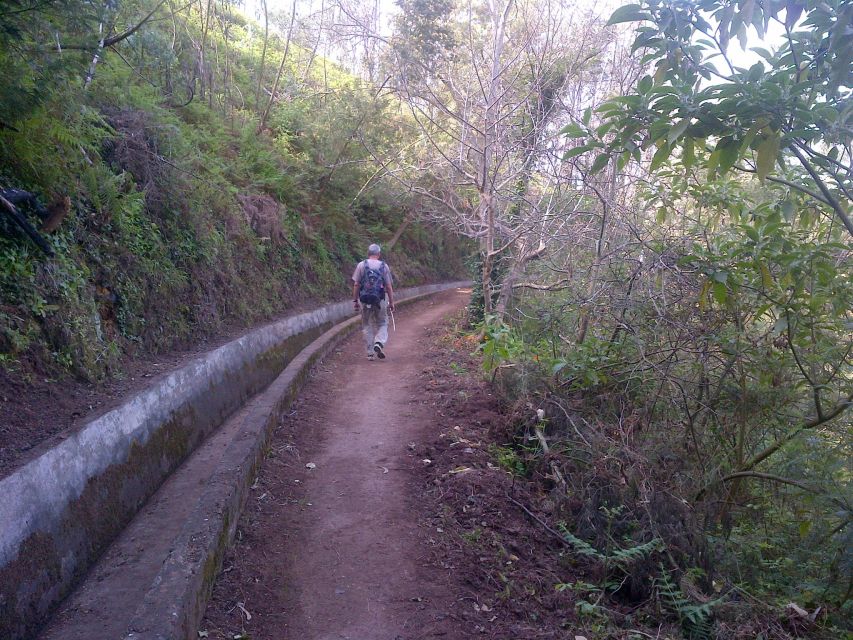 Madeira: Levado Do Norte 2-Hour Hiking Tour - Experience Highlights