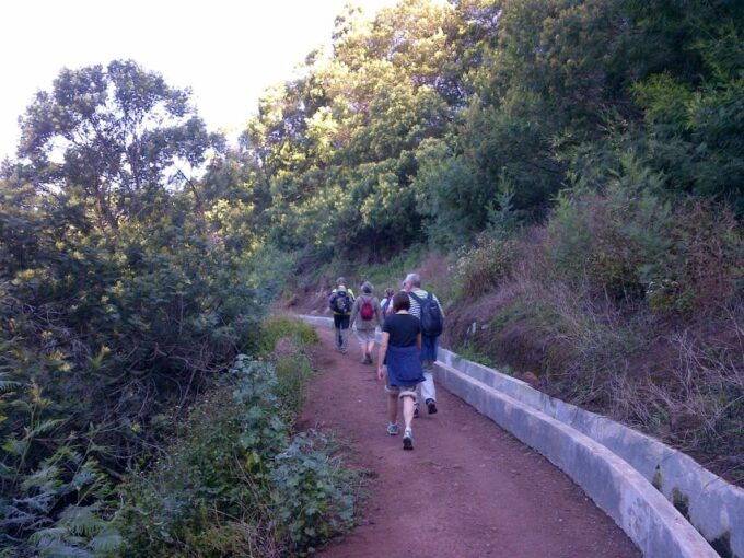 Madeira: Maroços Landscapes 2.5-Hour Guided Walk - Detailed Activity Information