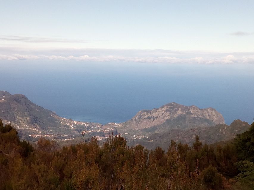 Madeira: Old Roads to Calheta Tour - Tour Highlights