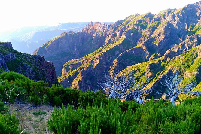 Madeira: Pico Ruivo Small-Group Sunrise Hike  - Funchal - Participant Information