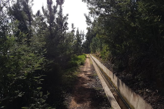 Madeira: Private Camacha Levada Do Tornos Walk - What to Bring for the Walk