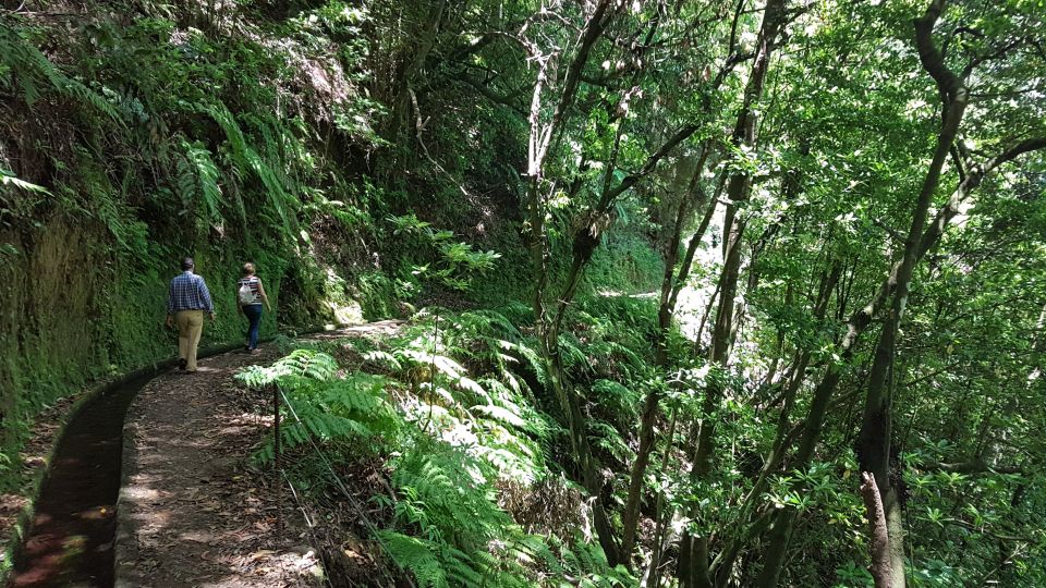 Madeira: Private Guided Levada Do Rei Walk PR18 - Experience Highlights