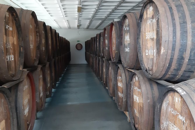 Madeira: Private Half-Day Wine Tasting Tour - Cancellation Policy