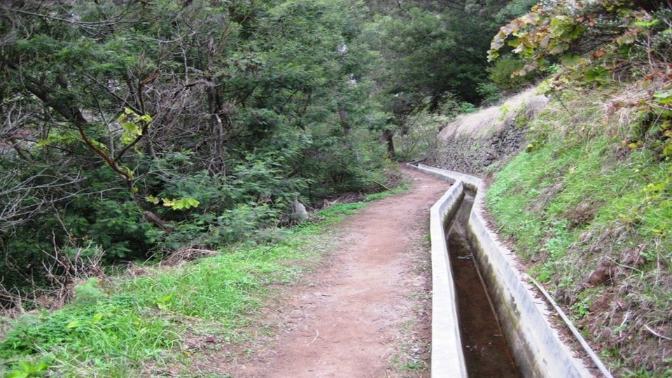 Madeira: Private Hike From Levada Do Caniçal to Machico - Experience Highlights