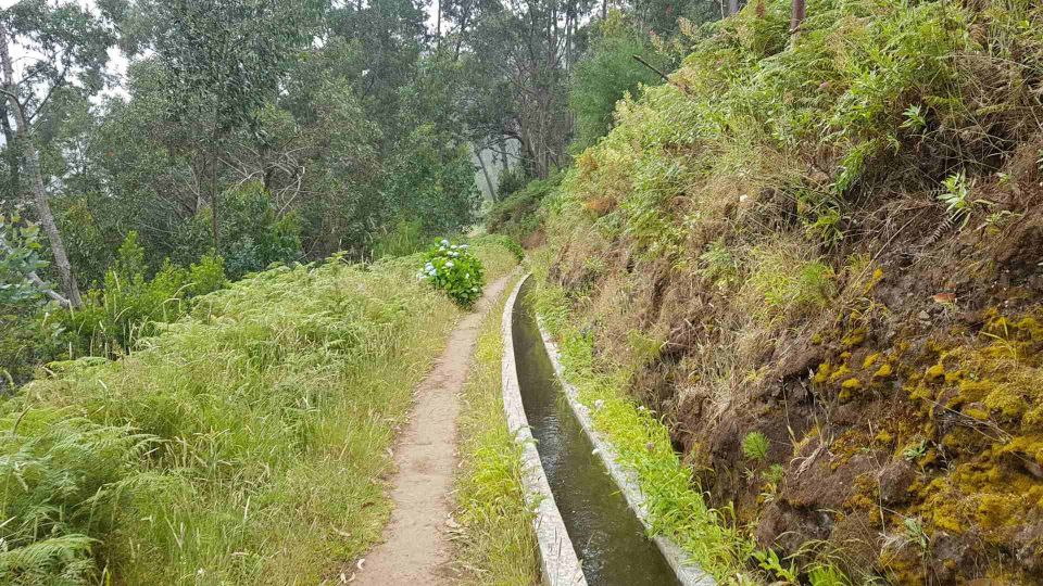 Madeira: Private Levada Ponta Do Pargo Walk - Experience Highlights