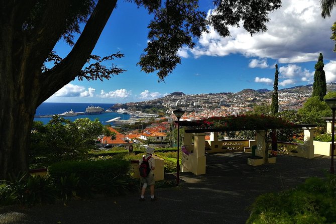 Madeira Private Tuk-Tuk Sightseeing Tour  - Funchal - Logistics for Meeting and Pickup