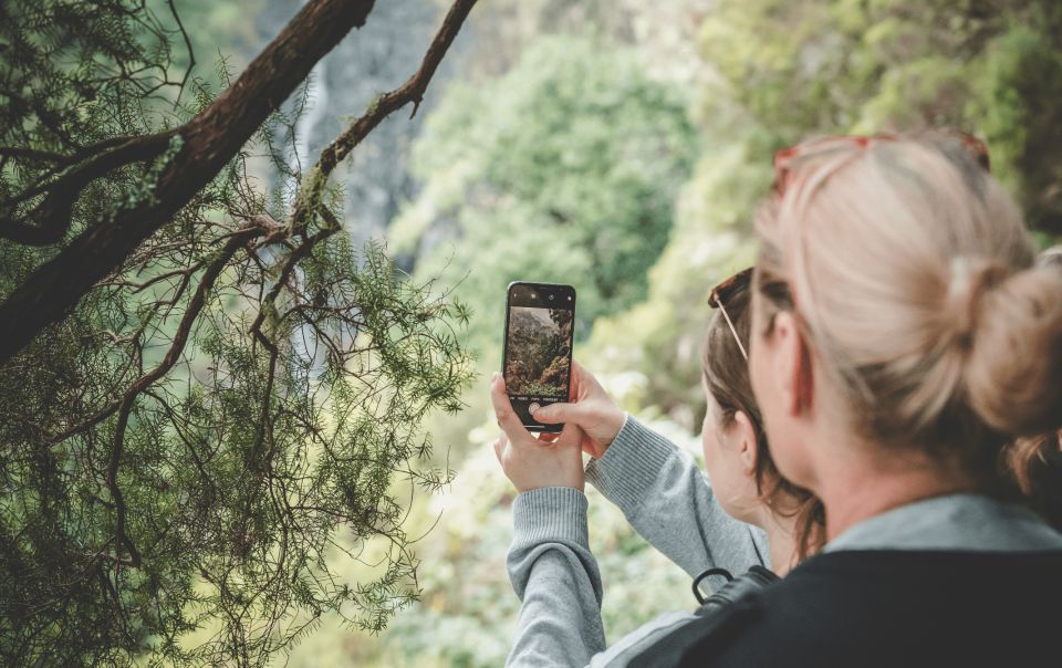 Madeira: Rabaçal Valley and the 25 Fountains Hike. - Experience Highlights