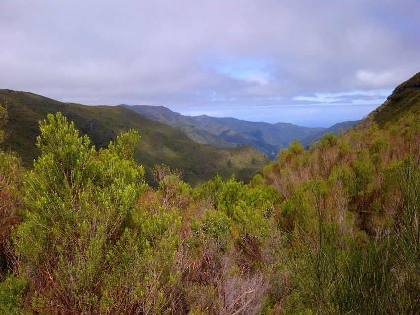 Madeira: Rabaçal Valleys 3-Hour Guided Walk - Experience Highlights