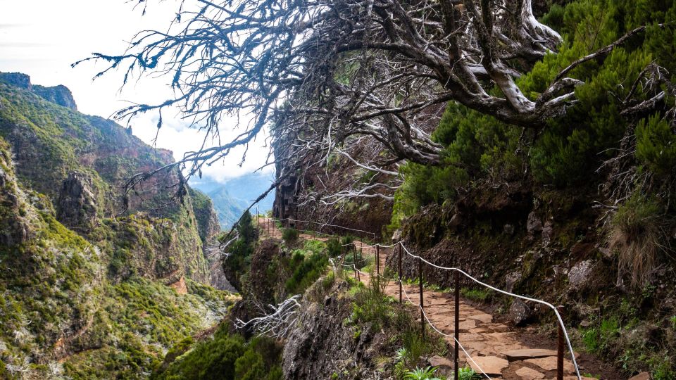 Madeira: Stairway To Heaven Pico Areeiro to Pico Ruivo Hike - Scenic Picnic in Paradise