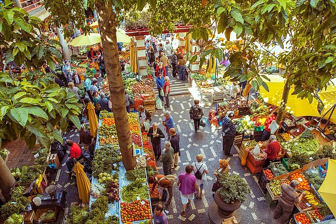 Madeira Wine Tasting and Funchal City Tour - Logistics