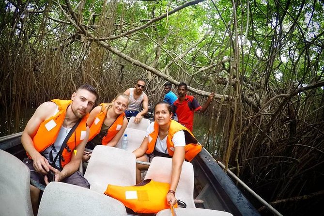Madu River Boat Safari Balapitiya - Cultural Immersion