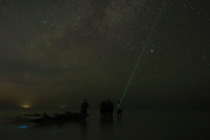 Magic Night of Stargazing and Bioluminescence - Rave Reviews From Travelers