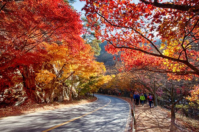 Magnificent Naejangsan National Park Autumn Foliage Tour From Seoul - Essential Packing List for the Tour