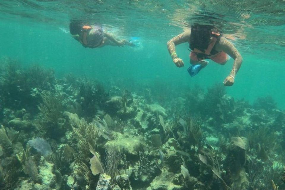 Mahahual: Costa Maya Snorkeling Adventure by Boat - Experience Highlights