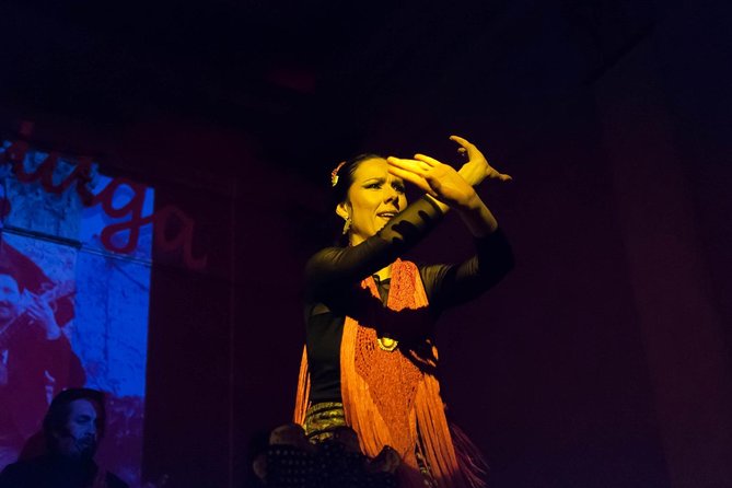 Malaga Flamenco Show - Traveler Photos Information