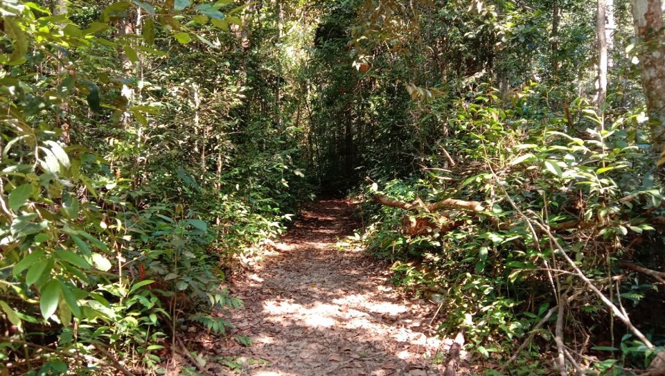 Malaysia: Gunung Panti Forest Reserve Guided Nature Tour - Experience Highlights