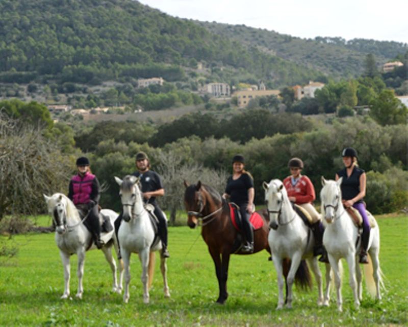 Mallorca: Guided Horseriding Tour of Randa Valley - Unique Experience Highlights