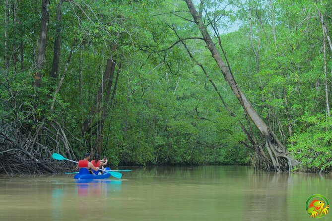 Mangrove Damas Island Kayak Tours - Operational Guidelines