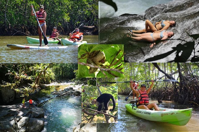 Mangrove Kayaking Adventure - Educational Component and Wildlife Spotting