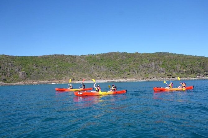 Mangroves and Mansions Guided Kayak Tour on the Noosa River - Customer Reviews